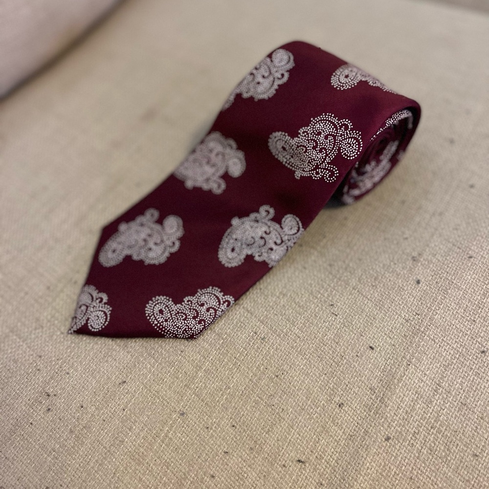 Christian Dior Paisley Print Mens Necktie 👔